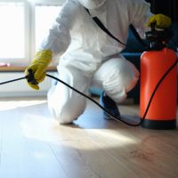 Godrej Pest control Services Near Me